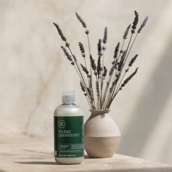 Tea tree lavender mint shampoo